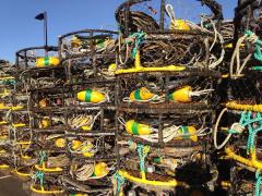 Crab pots waiting for the season, Humboldt Bay, Eureka