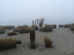 Old Pier in Fog, Hikshari Trail, Eureka